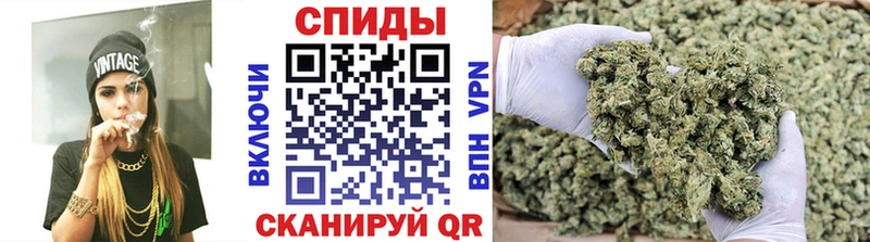 Бутират буратино  Калининск 